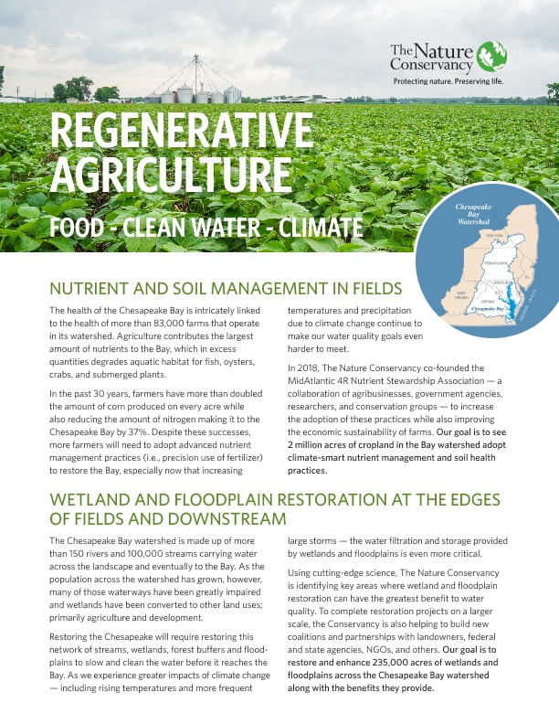 Cover of the Regenerative Agriculture info brochure.