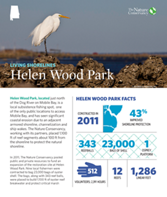 Living Shorelines project at Helen Wood Park