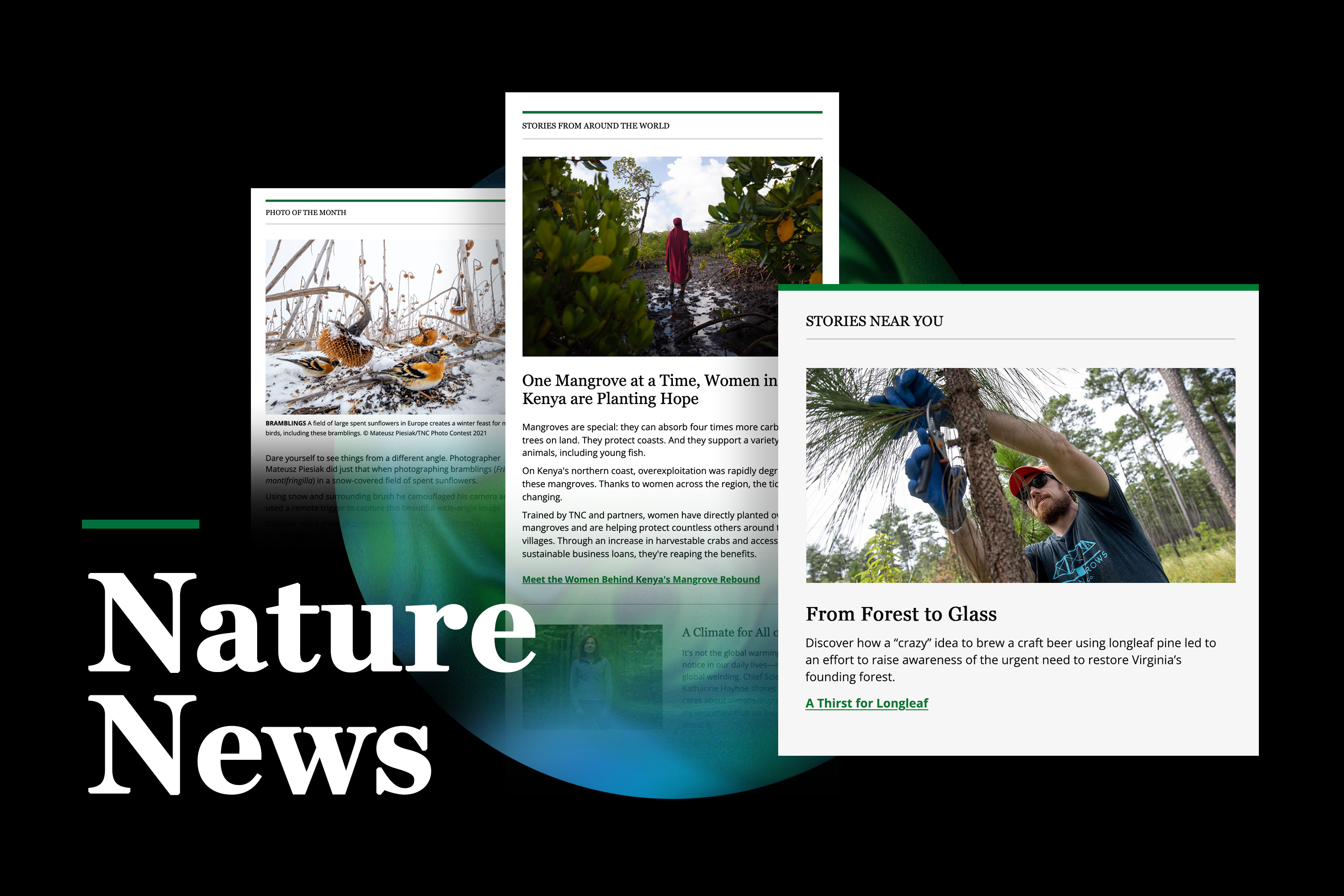 Nature News email promo graphic