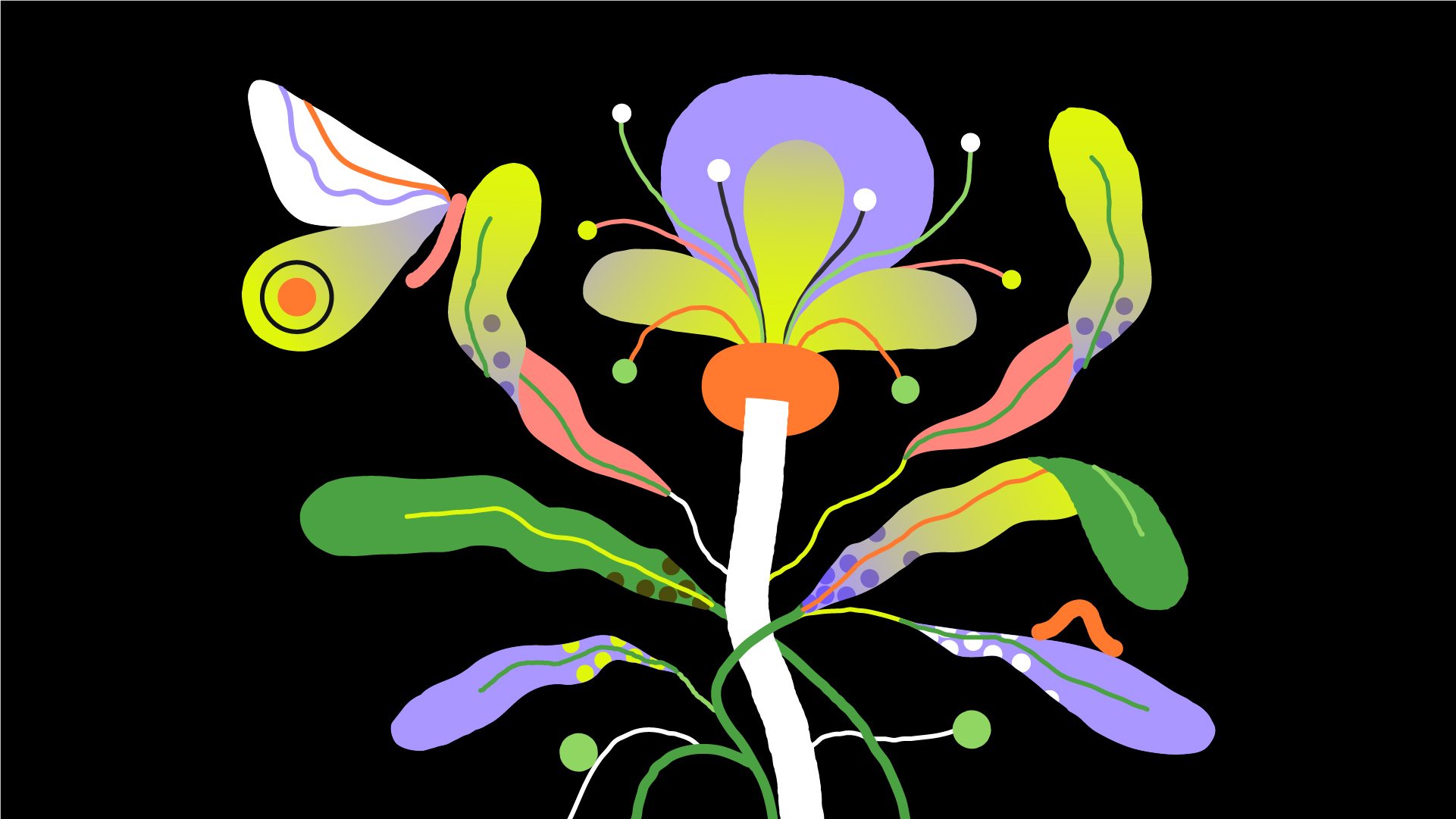 Animated image of flowers.