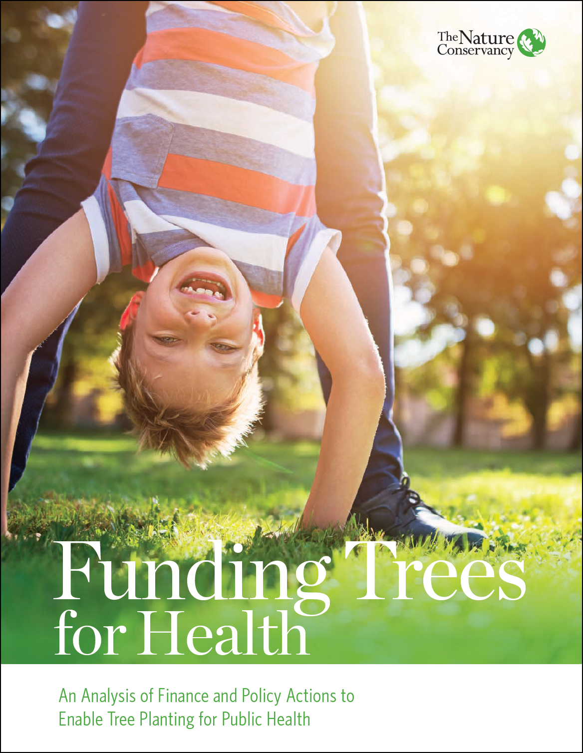 An Analysis of Fiance and Poolicy Actions to Enable Tree Planting for Public Health