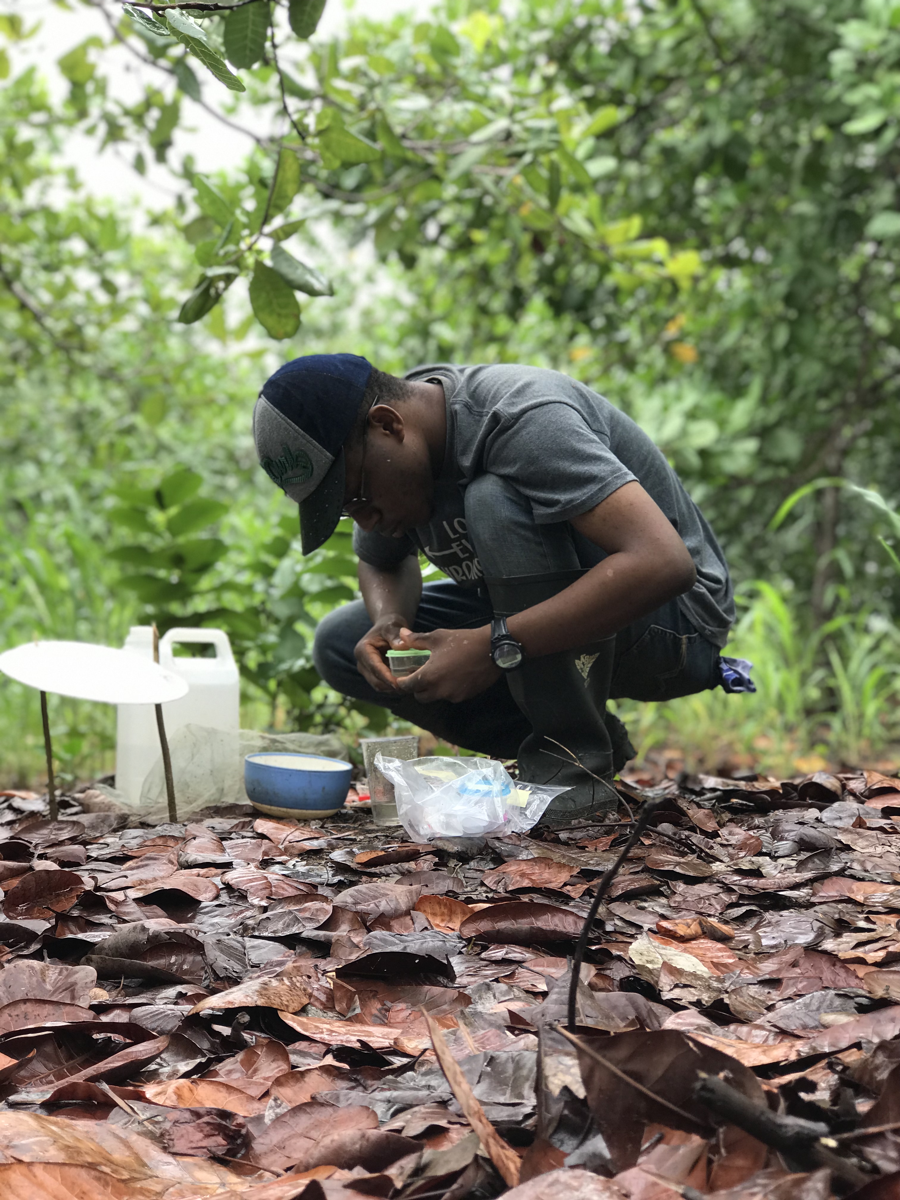 Un investigador toma muestras en un bosque.