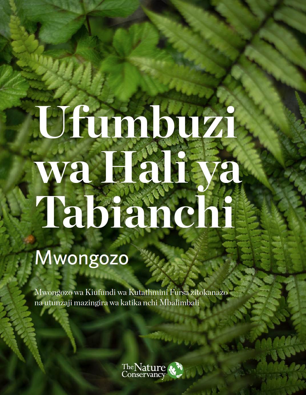 Text that says Natural Climate Solutions Handbook in Swahili with micro shot of ferns.