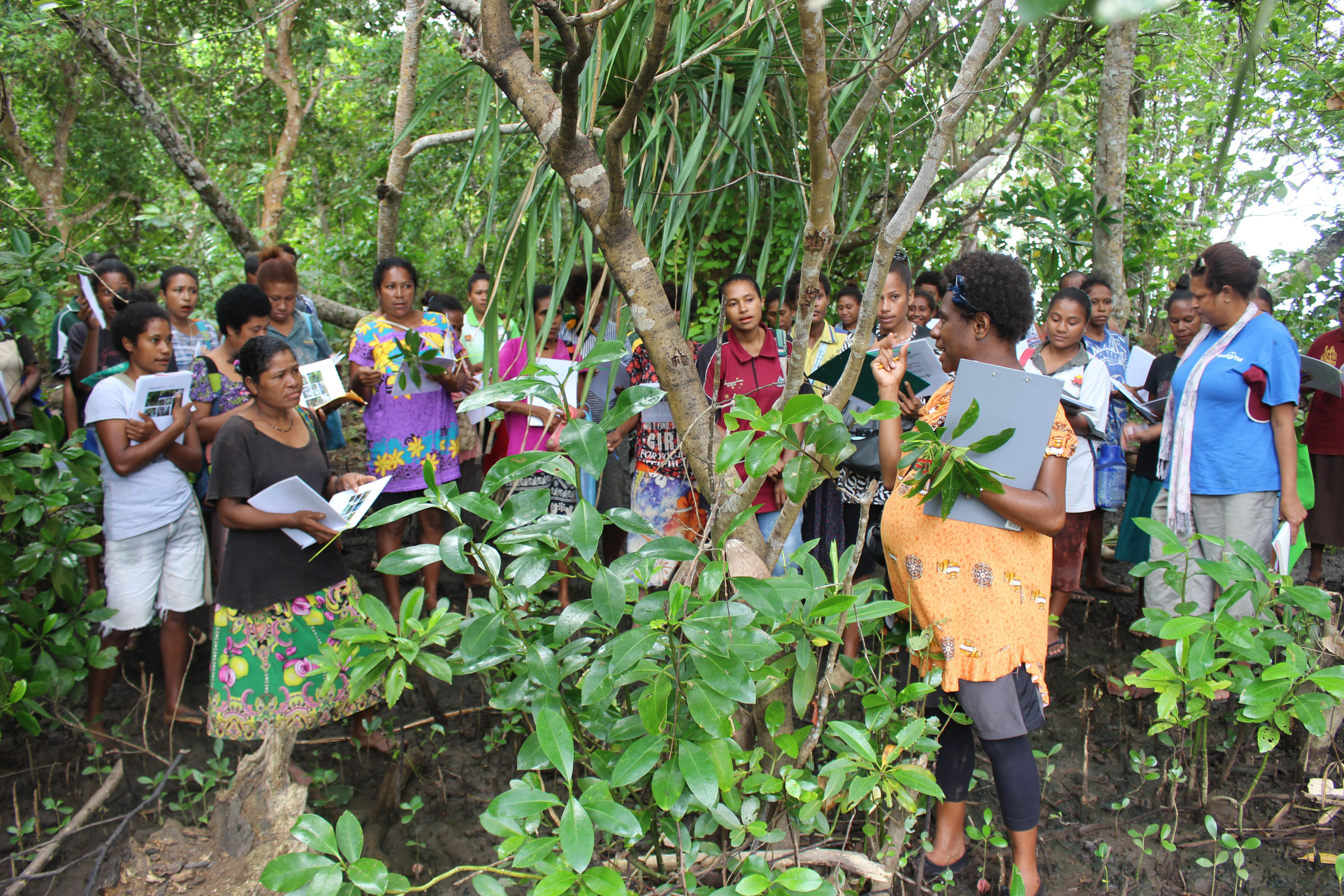 Mujeres aprendiendo sobre manglares y cómo restaurarlos