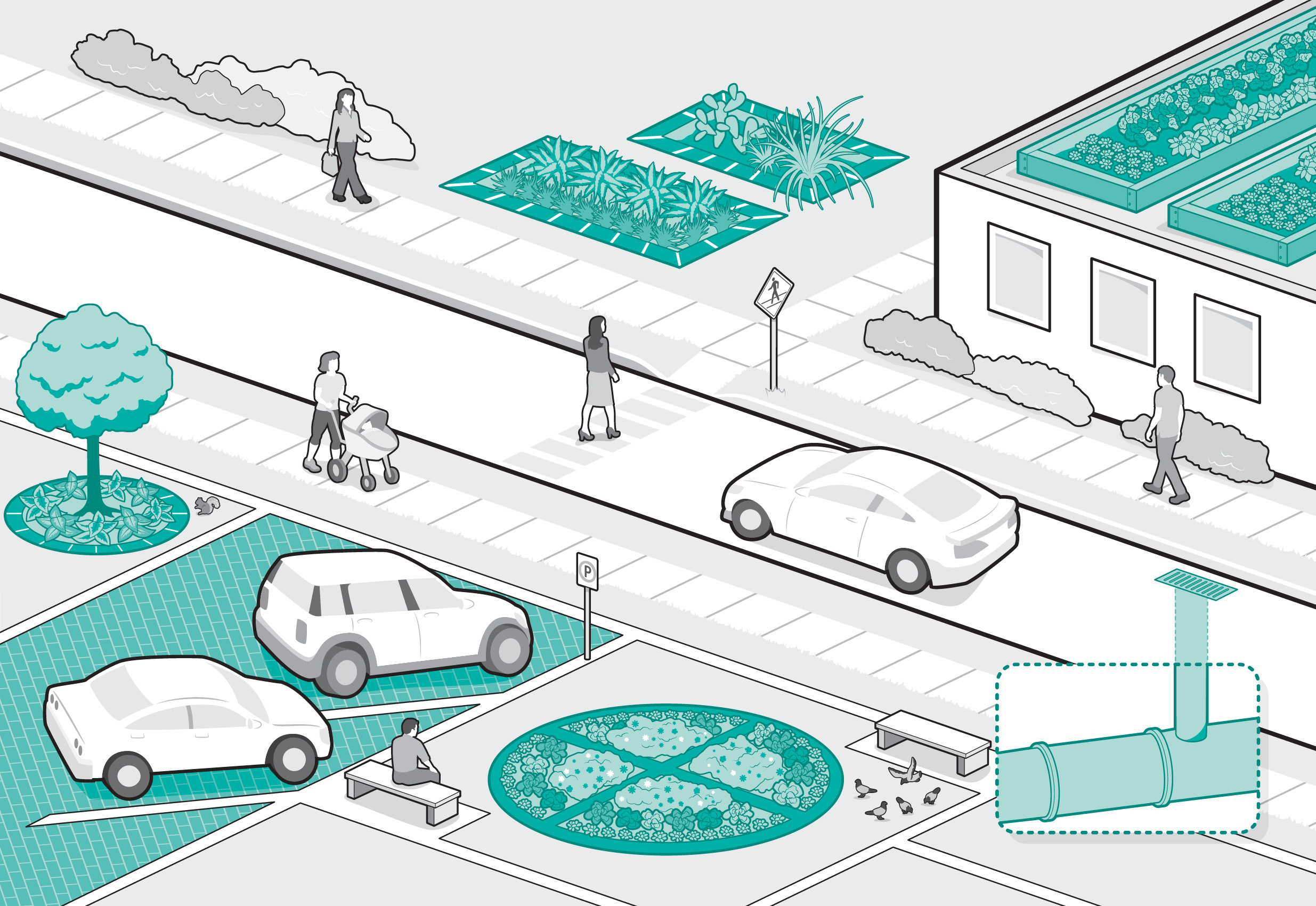 Infographic of stormwater-capturing methods in a city.
