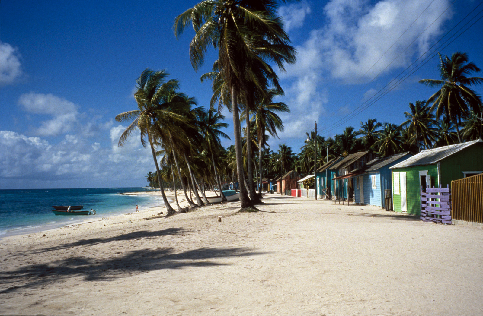 a beach with palm trees and houses