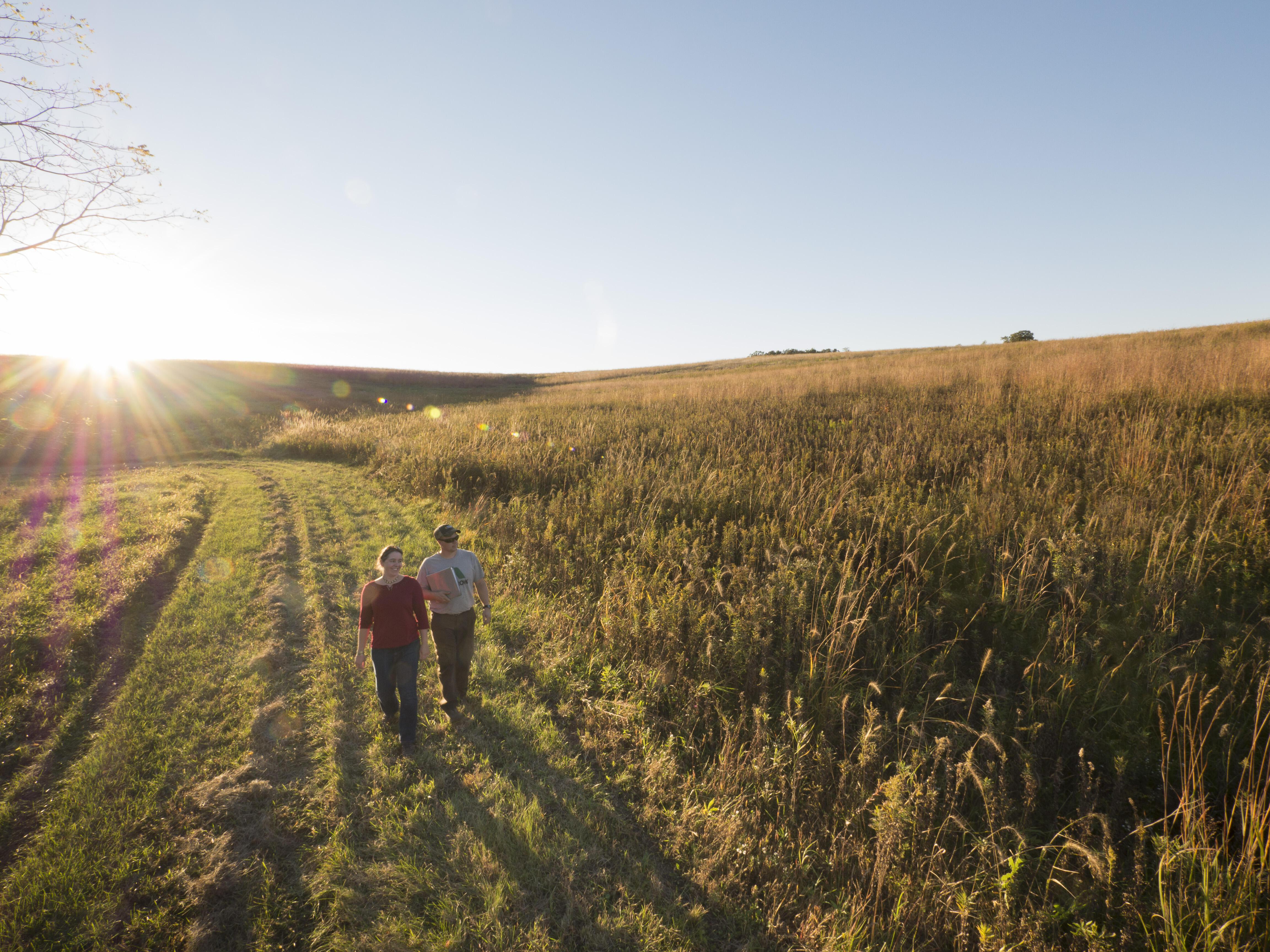 Two people walk along a wide grassy swale next to a remnant prairie. The sun has just risen over the hill in the background.